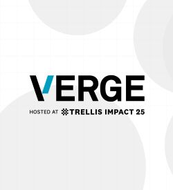 Verge 2025