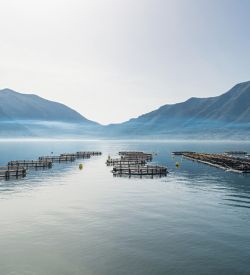 Water voor verantwoorde aquacultuurpraktijken