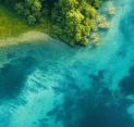 A Blueprint for Global Water Stewardship: From Strategy and Reporting to Accountability and Assurance
