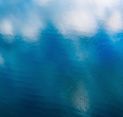 EUDR Compliance: What You Need to Know and How SCS Can Help