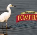 Pompeian's Sunrise Olive Ranch ส่งเสริมความหลากหลายทางชีวภาพด้วยการควบคุมสาหร่ายที่สร้างสรรค์
